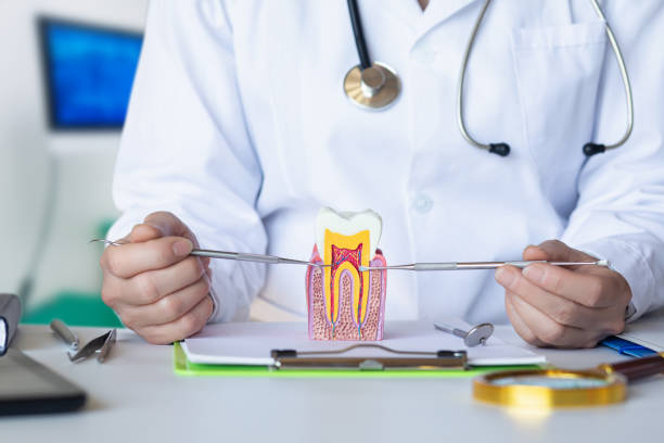 Best Urgent Tooth Repair  in Mount Holly Springs, PA